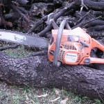 Husqvarna Chainsaws Reviews: Finally, A REAL Review!