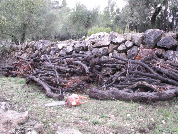 husqvarna chainsaws