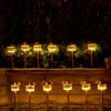 Landscape Lighting Kits – Huge Variety For the DIYer