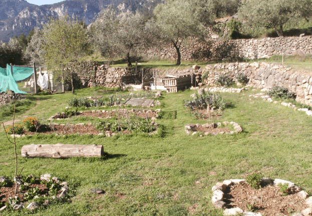 veg plot