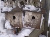 image - build a bird house