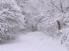 heavy_snow3