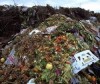 FoodWaste